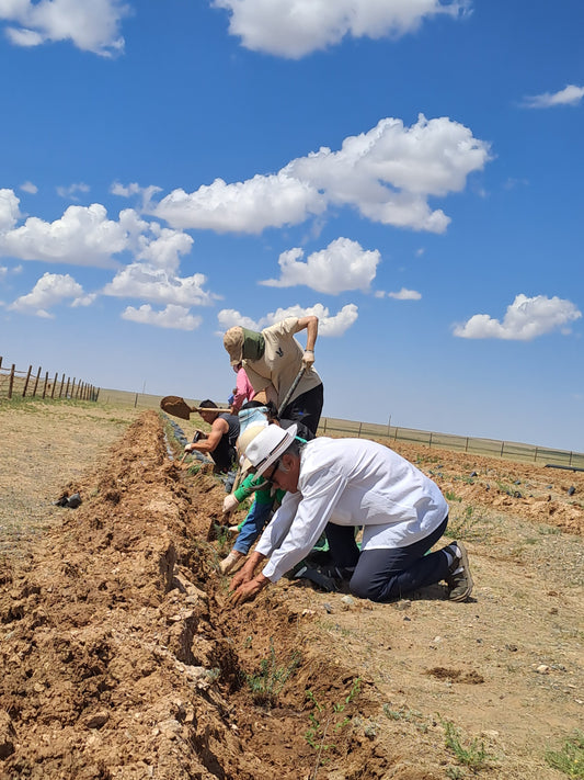 Gobi Greening: Apparel with a Purpose How Your Purchase Helps Us Grow a Greener Gobi Every time you choose Gobi Greening, you’re not just buying clothes—you're making a direct impact. We're proud to be a clothing brand that directly funds the Gobi Burd Ag